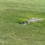 Appartement Maison Carrel Elegant 4 Breuil-Cervinia