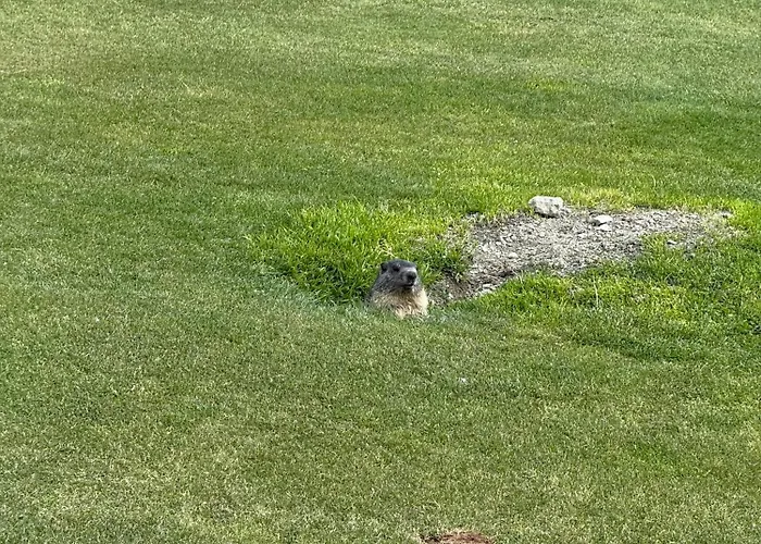 Appartement Maison Carrel Elegant 4 Breuil-Cervinia